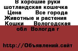 В хорошие руки шотландская кошечка › Цена ­ 7 - Все города Животные и растения » Кошки   . Вологодская обл.,Вологда г.